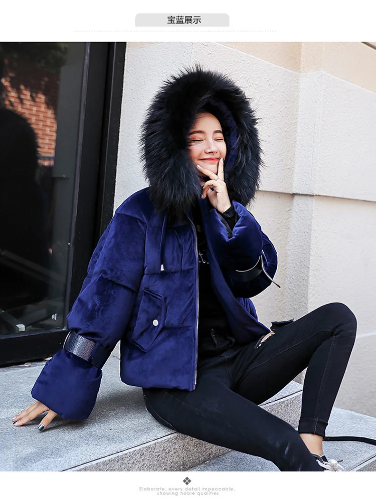 9142704903_1006637240