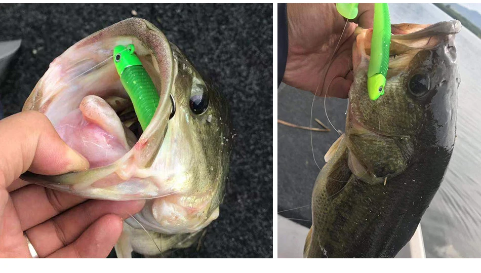 C10971-fishing-lure-swimbait_16