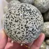 30-100 mm Natural Dalmation Jasper Sphere Crystal Globe Ball Chakra Healing Reiki Stone Carved 1pcs 4