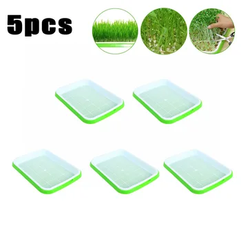 

5 Pack Cell Seedling Starter Tray Seed Germination Plant Propagation Soil-Free