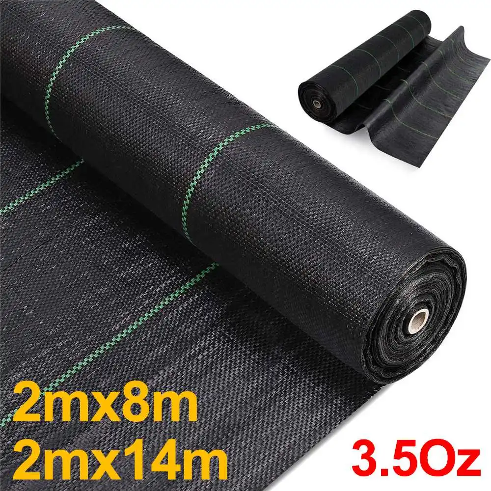 Store Home Products ChoiceDay Feedback