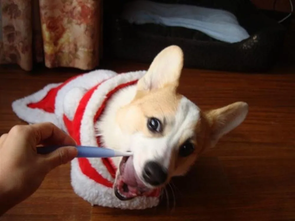 HLB1H4uMaoLrK1Rjy1zbq6AenFXak