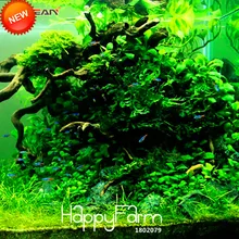 Большая распродажа! 500 шт./упак. аквариума бонсай воды трав случайный водные растения травы внутреннего украшения сада,# S8PXQE