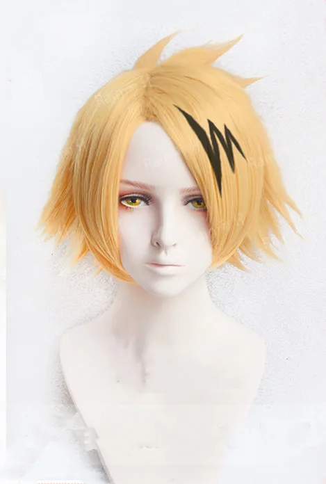 

Anime My Hero Hero Academia Denki Kaminari Wigs Short Golden Heat Resistant Synthetic Cosplay Wigs+ Wig Cap+ Black Lightening