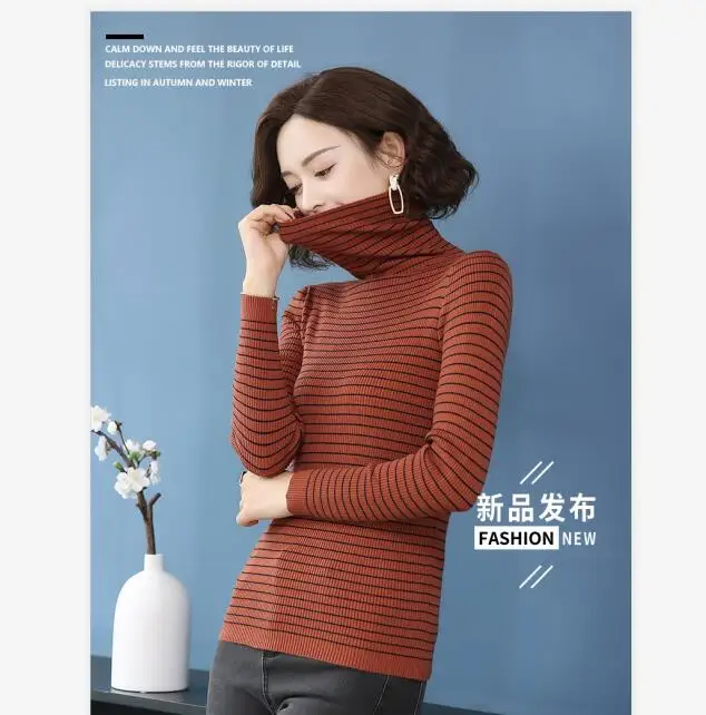 QQ截图20190902101347