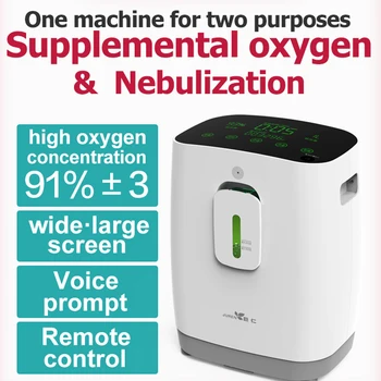 

1L Oxygen Generator Oxygen Machine DZ-1W Mini Voice Control Oxygen Machine Portable Small Touch Screen Disinfecting Wet Towel CE