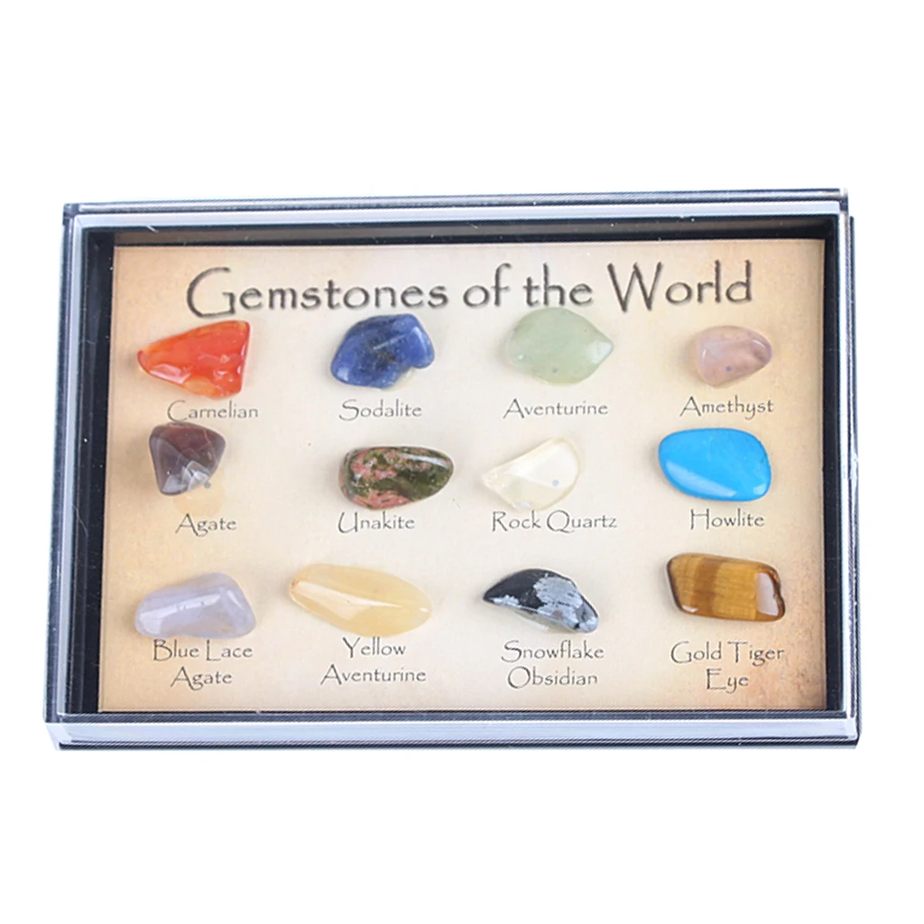 Kids Earth Science Toy Ro & Mineral Collection (15pcs) In A Display Case
