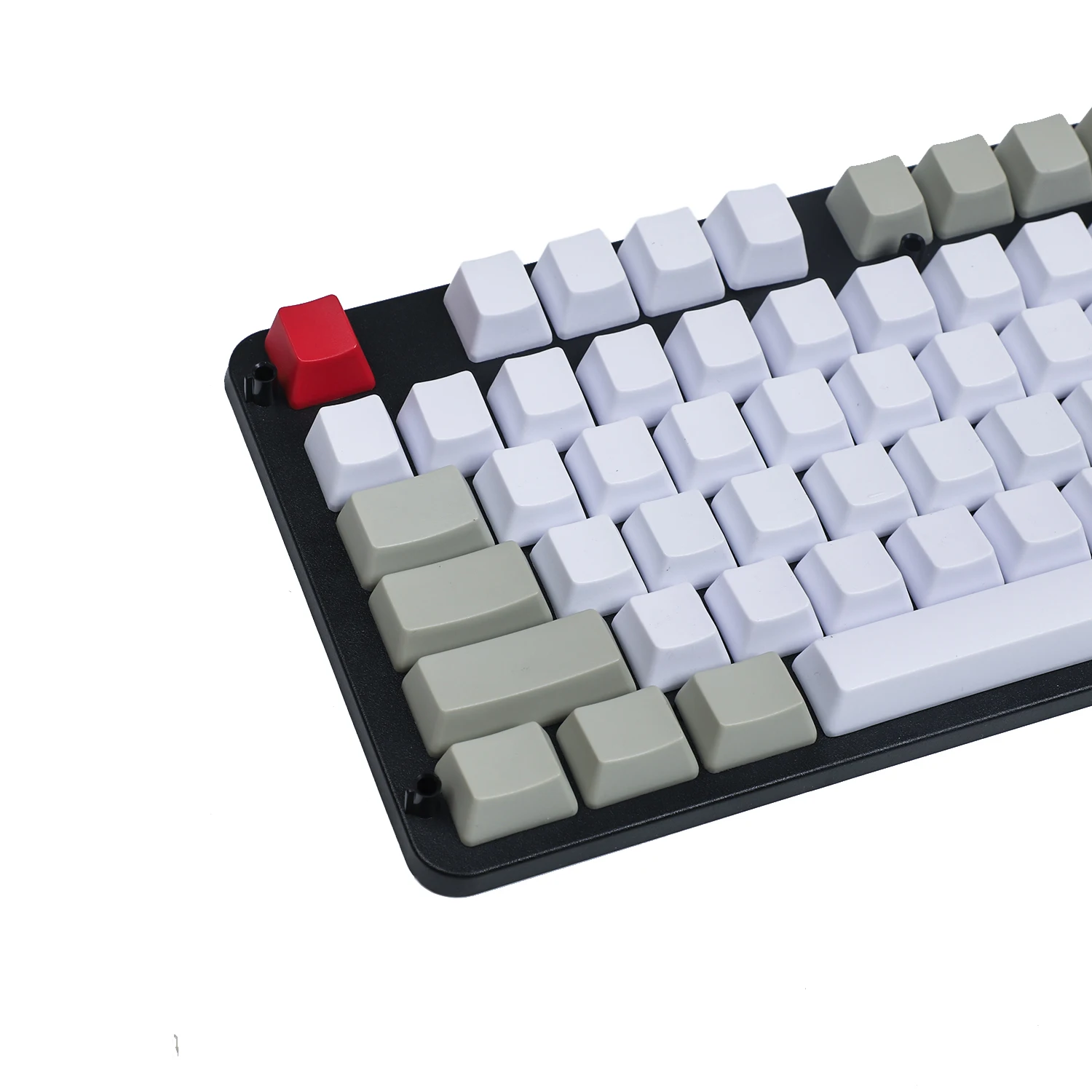 Mouses e teclados