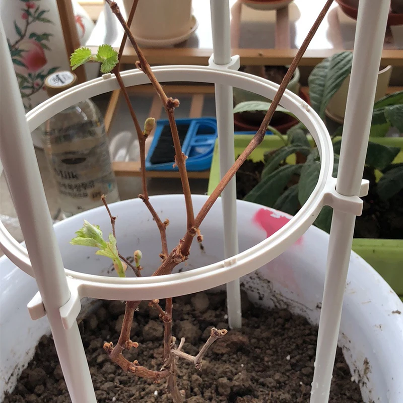Новая специальная напольная Цветочная подставка clematis для цветов рамка