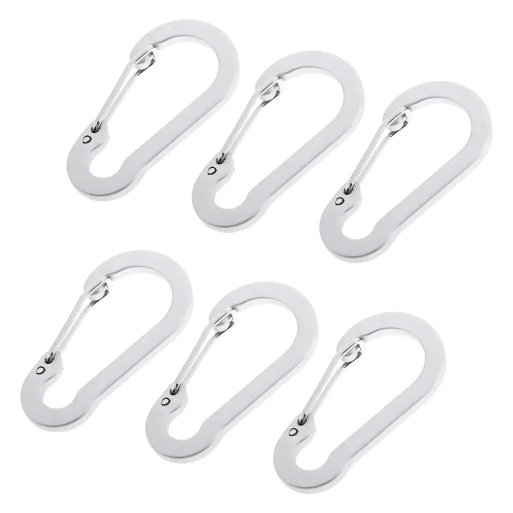6 Pieces Mini Aluminum Carabiner Spring Clip Hook Keychain for Camping Hiking Fishing Traveling Backpack Water Bottle
