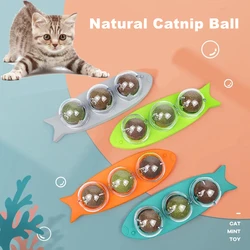 Jouets boule d'herbe à chat 360 °, boules murales à coller, accessoires comestibles pour chats à mâcher, traitement des chatons, nettoyage des dents, fournitures de dentition 