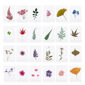 

Mix Pressed Flower Leaves Plant Specimen Fillers for Epoxy Resin Jewelry Making