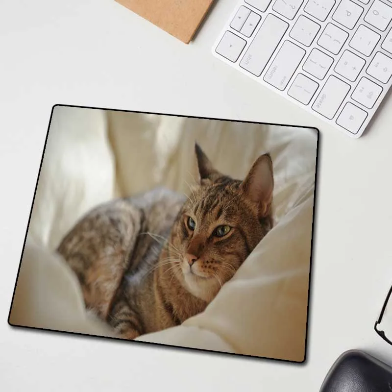  XGZ Customized Large Mouse Pad Precision Black Lock Edge Animal Cat Computer Desk Mat Speed Rubber 