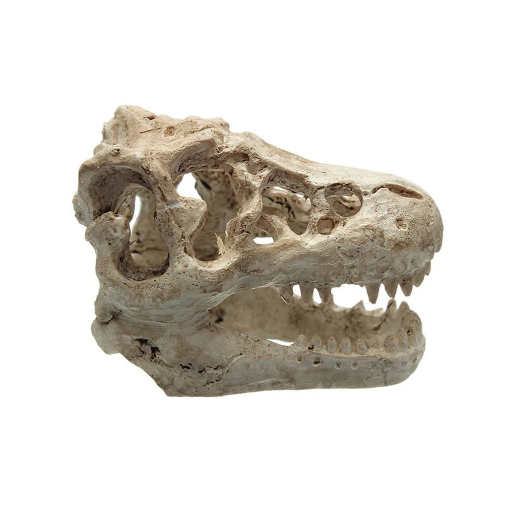 Resin Aquarium Decoration Crocodile Skull For Fish Tank Ornament