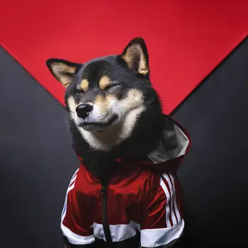 

Pet Dog Coat Clothes Dog Suitable For Large Dog Bulldog Golden Retriever Labrador Clothing Stitching color fashion Jacket