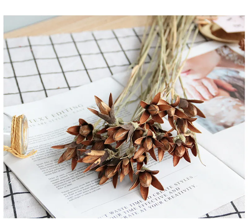 11009409810_1442471722