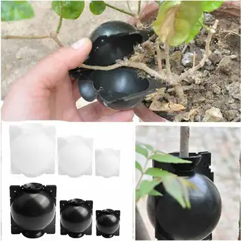 

5/8/12 Inch Plant Rooting Ball Grafting Rooting Growing Box Breeding Case For Garden Root Plastic Flower Container Nursery Box