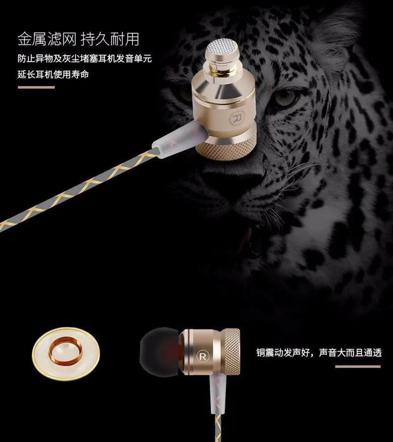 3685446819_157696673