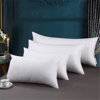 30*30/35*55/30*50/60*60 /40*40/45*45/40*60/65*65cm Solid Cushion Core Head Waist Pillow Inner PP Cotton Filler Cushion Filling 2