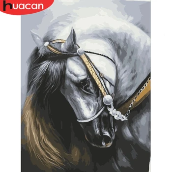 

HUACAN Painting By Numbers Horse Animal Kits Drawing Canvas Pictures By Numbers Flower HandPainted Home Decor Gift