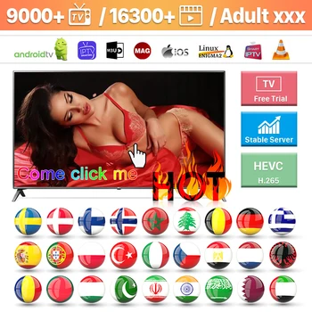 

2020 xxx adult IPTV Germany USA Canada Spain Portugal Netherlands IPTV Albania Sweden Poland IPTV No APP Include