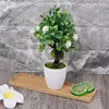 Oval Shape Bamboo Wood Saucer Plant Tray Mini Plant Flower Pot Stand Favor Succulent Pot Tray Simple Elegant Design Home Balcony ► Photo 3/6