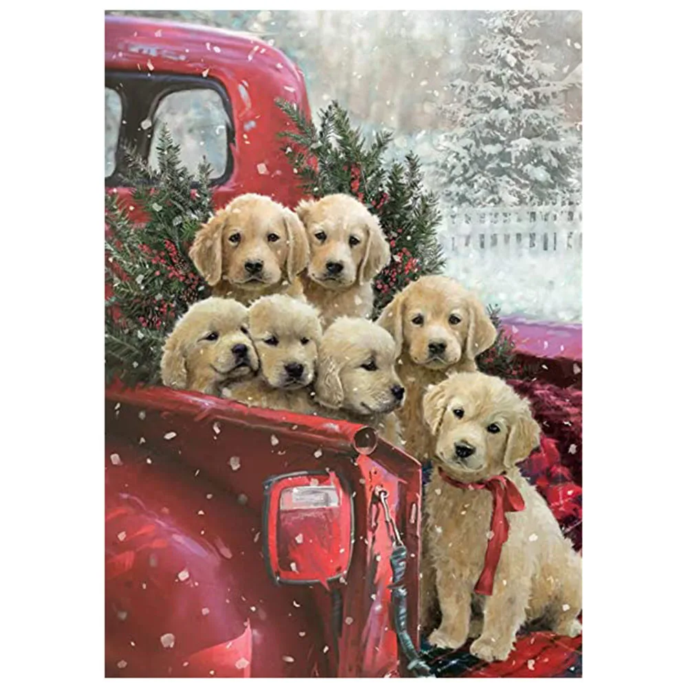 61jiYKSWw8L._AC_UL600_SR435,600_