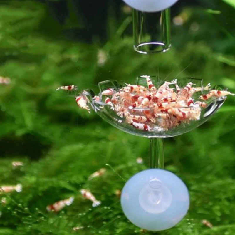 1 шт. прозрачный акриловый контейнер для кормления креветок лоток подачи пищи