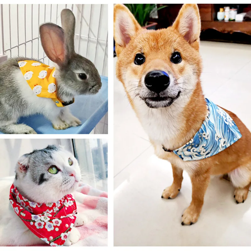 Cat Collar Easter Cat Collars And Tags With Bell For Sale Cat