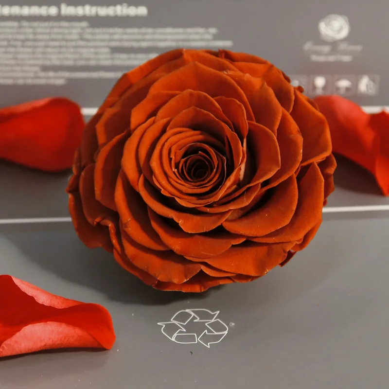 1 шт. высокое качество уровень А вечные цветы цветок бессмертная Роза 9-10 см диаметр подарок на день Святого Валентина вечная жизнь цветок Материал Подарочная коробка - Цвет: vermilion