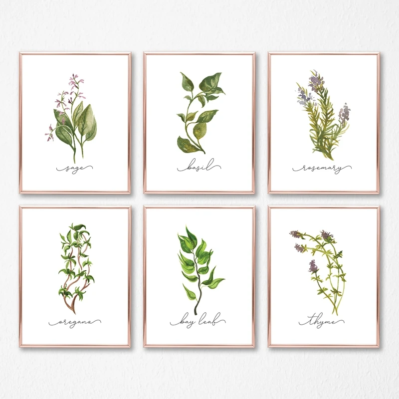 Herb-Collection-Wall-Art-Canvas-Posters-Painting-Oregano-Sage-Rosemary-Basil-Thyme-Watercolor-Wall-Picture-Print (4)