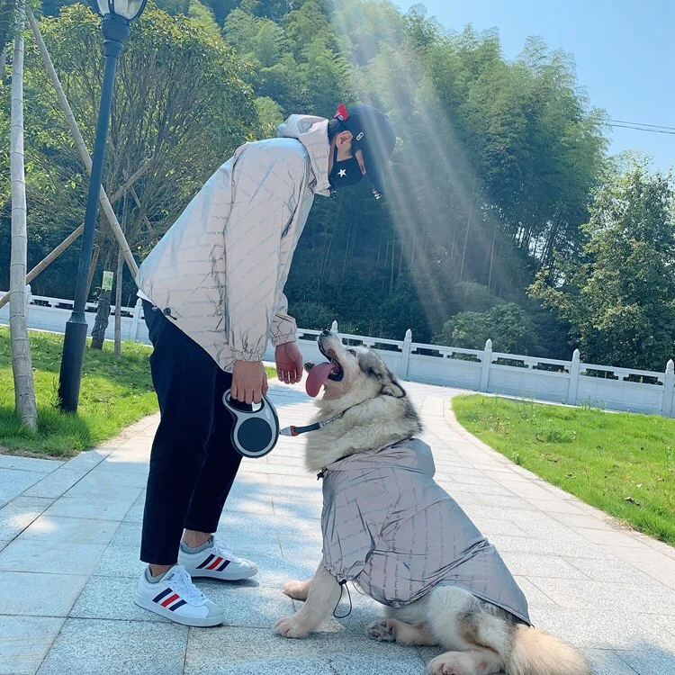 微信图片_20190818150712