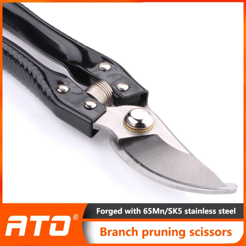 Gardening Pruning Fruit Tree Pruning 
