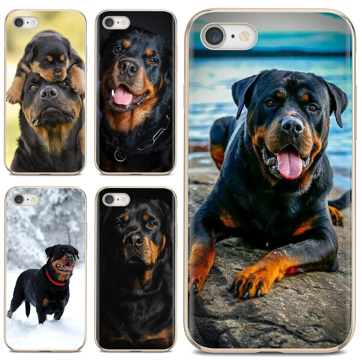 For Samsung Galaxy A10 A40 A50 A70 A3 A5 A7 A9 A8 A6 Plus 2018 2015 2016 2017 Cute Rottweiler Dog Beautiful Silicone Phone Case | Мобильные
