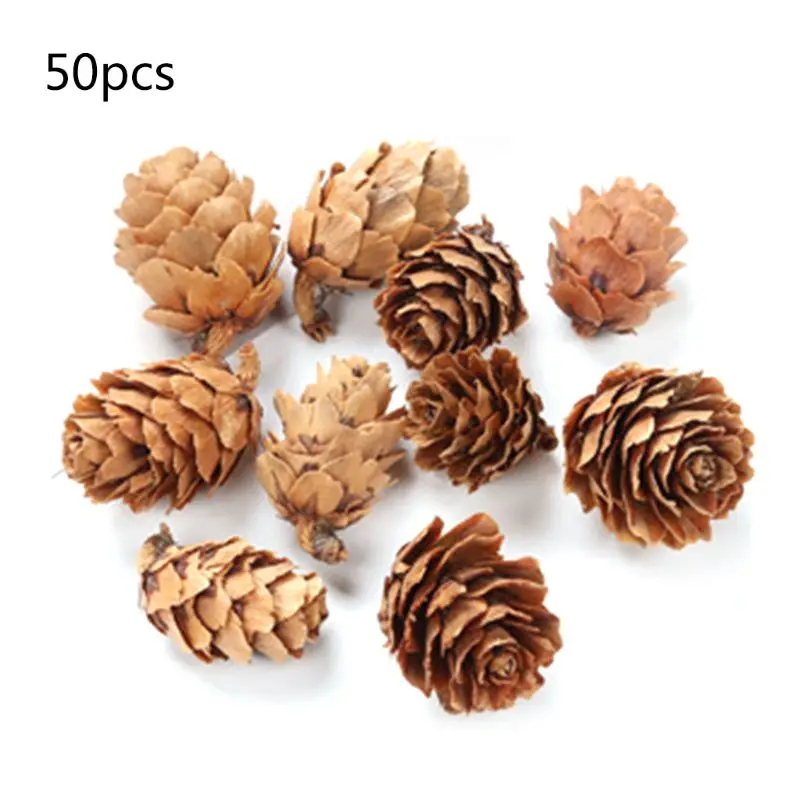 

50Pcs/Pack Natural Pine Cone Thanksgiving Christmas Holiday Decorations Crafts X6HE