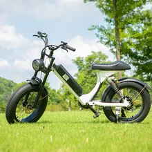Sport 500w Mid Drive Electric Bicycle City Bike with brushless motor electric bicycle