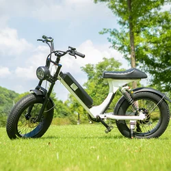 Sport 500w Mid Drive Electric Bicycle City Bike with brushless motor electric bicycle