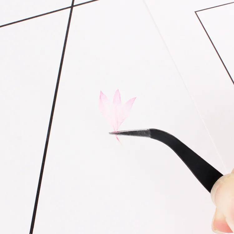 Description Picture 4 of item40PCS,Nature Pressed Flower,Real Touch Cornflower Petals,DIY Wedding invitations Craft Bookmark Gift Card,Flores Facial Decor