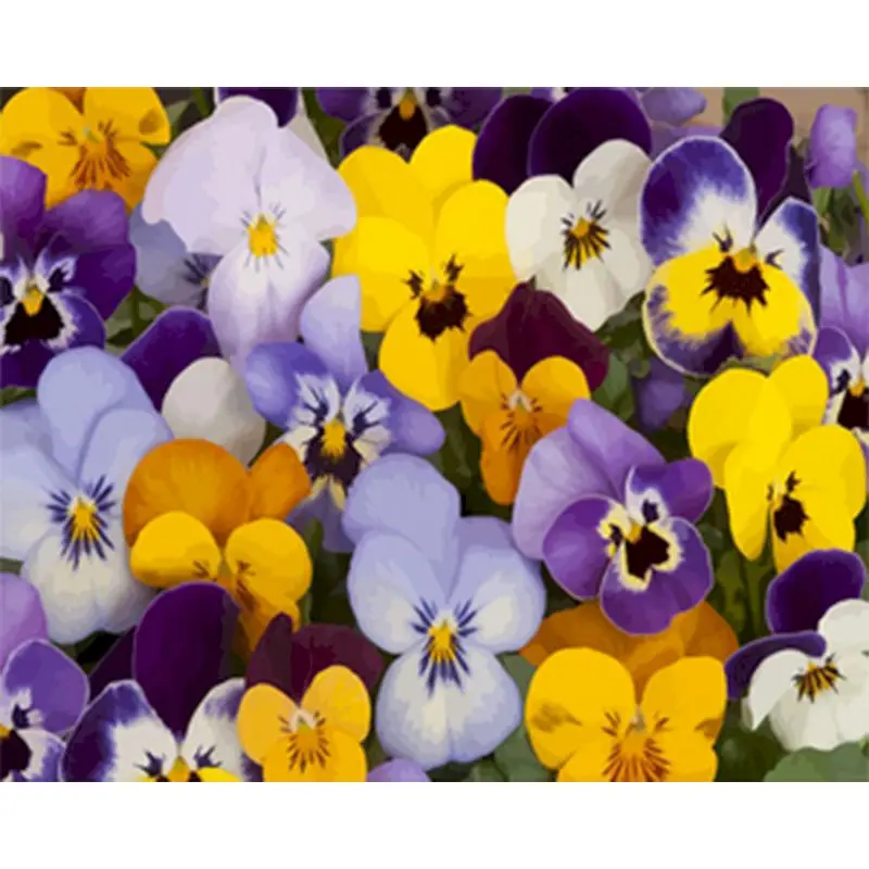 

Beautiful Oil Painting Flower Pansy Painting By Numbers Paint Flower DIY Modern Canvas Picture Hand Painted Home Decor Gift