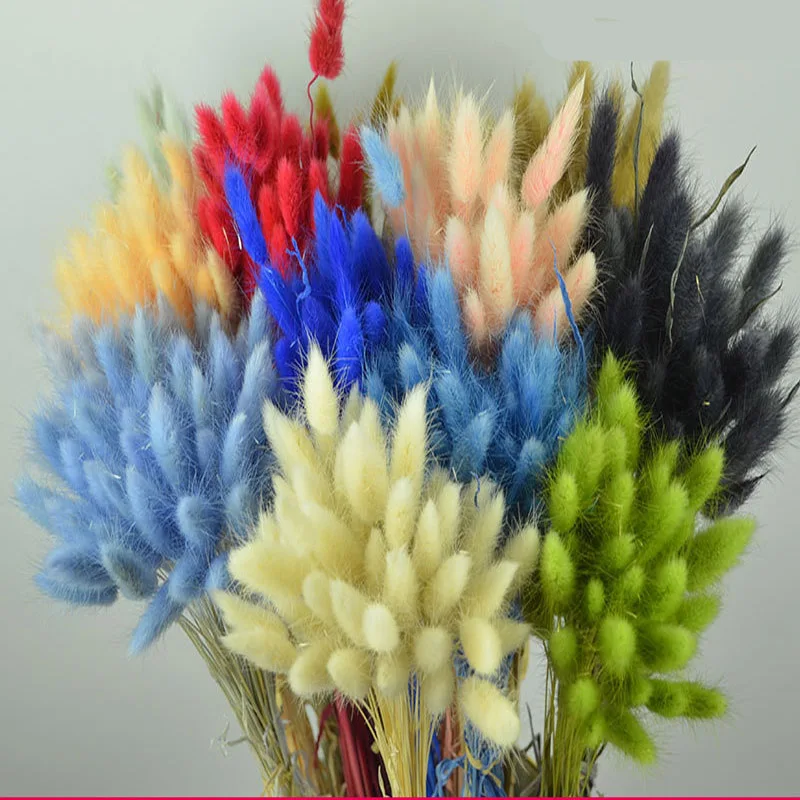 4347253318_1795837866