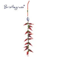 BRISTLEGRASS Turkish Blue Evil Eye Red Chili Tassel Amulets Lucky Charm Wall Hanging Pendants Pendulum Blessing Protection Decor 1