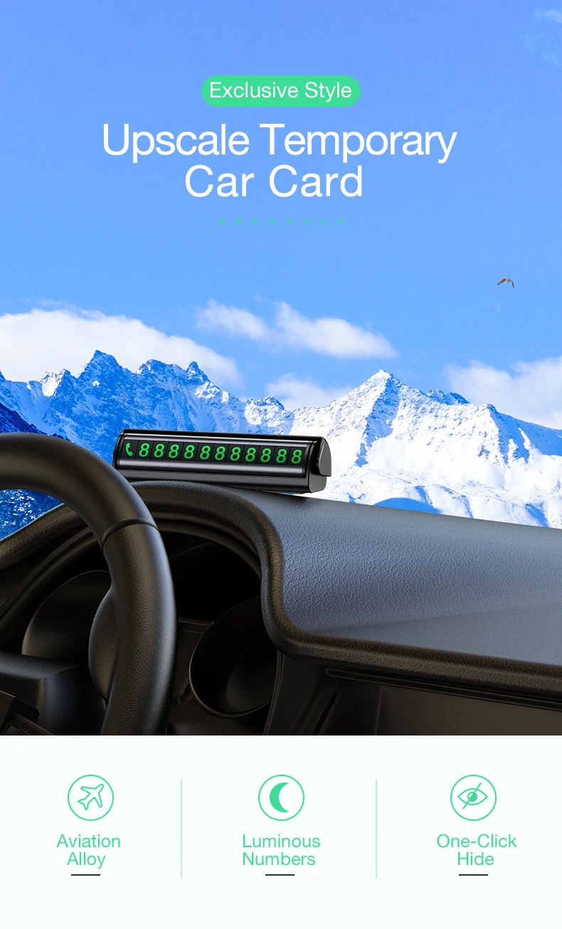 car temporary card (9)