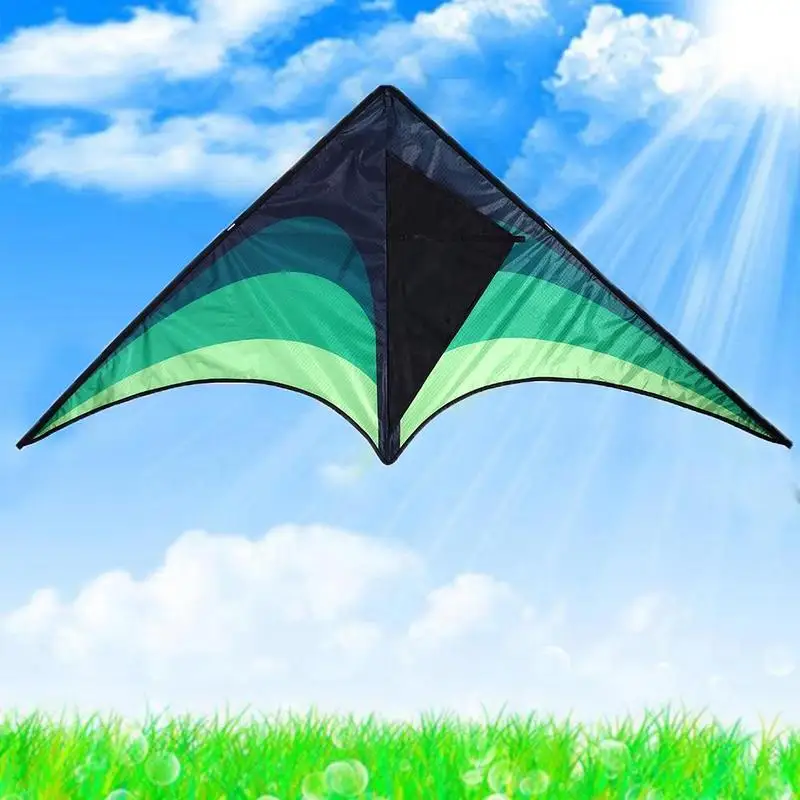 High Quality Large Delta Kites With Handle Line Outdoor Toys For Kids Kites Nylon Ripstop Albatross Outdoor Flying Kites 3