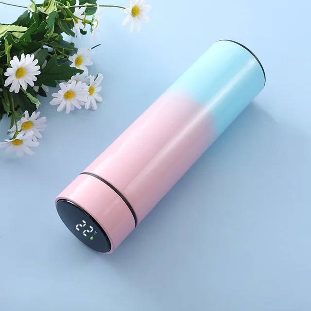 Intelligent 304 Stainless Steel Thermos With LED Temperature Display Water Bottle Vacuum Flasks Thermoses Coffee Tea Milk Cup Gradient color 2