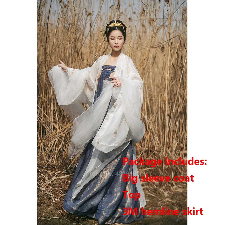 3Mset Asian Chinese Style Traditional Fairy Women Female Hanfu Singer Stage Performance Shinny Golden Printed Clothing Top Skirt Set - Цвет: 3Mset