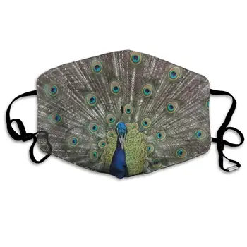 

Peacock And Feather Stylish Dust Mouth Mask Reusable Anti-Dust Face Mask Adjustable Earloop Skin Protection