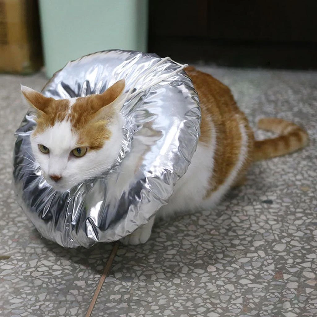 犬のコーンの形をした柔軟な襟 引っかき傷や汚れを防ぐための安全性 防水 猫用 首輪 Aliexpress
