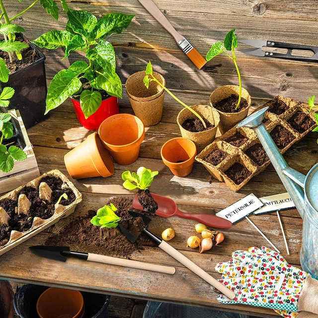 13Db Ültetési Szerszámkészlet Mini Kerti Szerszám A Pozsgás Növényekhez, Gyomlálva Ásni Miniatűr Tündér Bonsai Kéziszerszámokat - Image 6