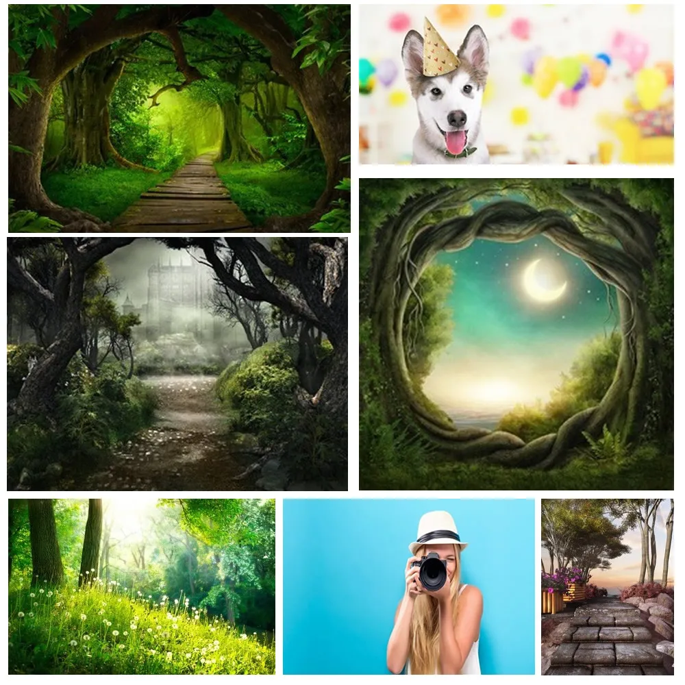 Life Magic Box фон-валентинка фотография фотосессия поддержка лес так много деревьев