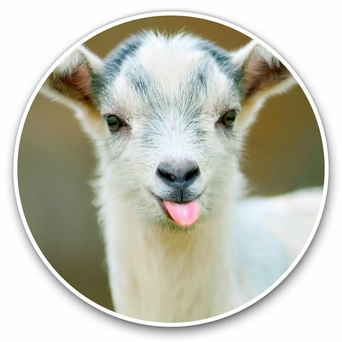 

S61734 # Baby Goat Animals Pets Farm Self-adhesive Decal Car Sticker Waterproof Auto Decors on Bumper Rear Window Laptop